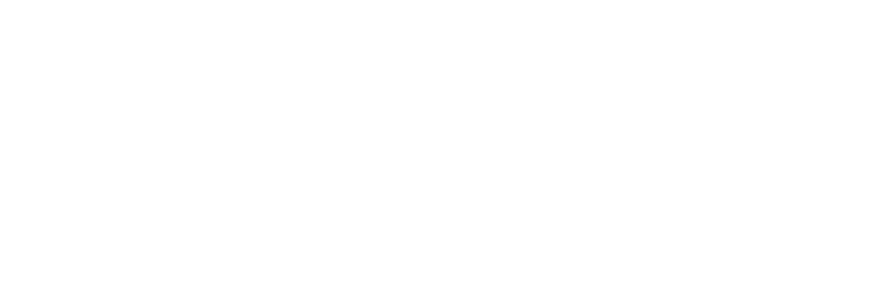 NetSuite_idAICRYoQY_1